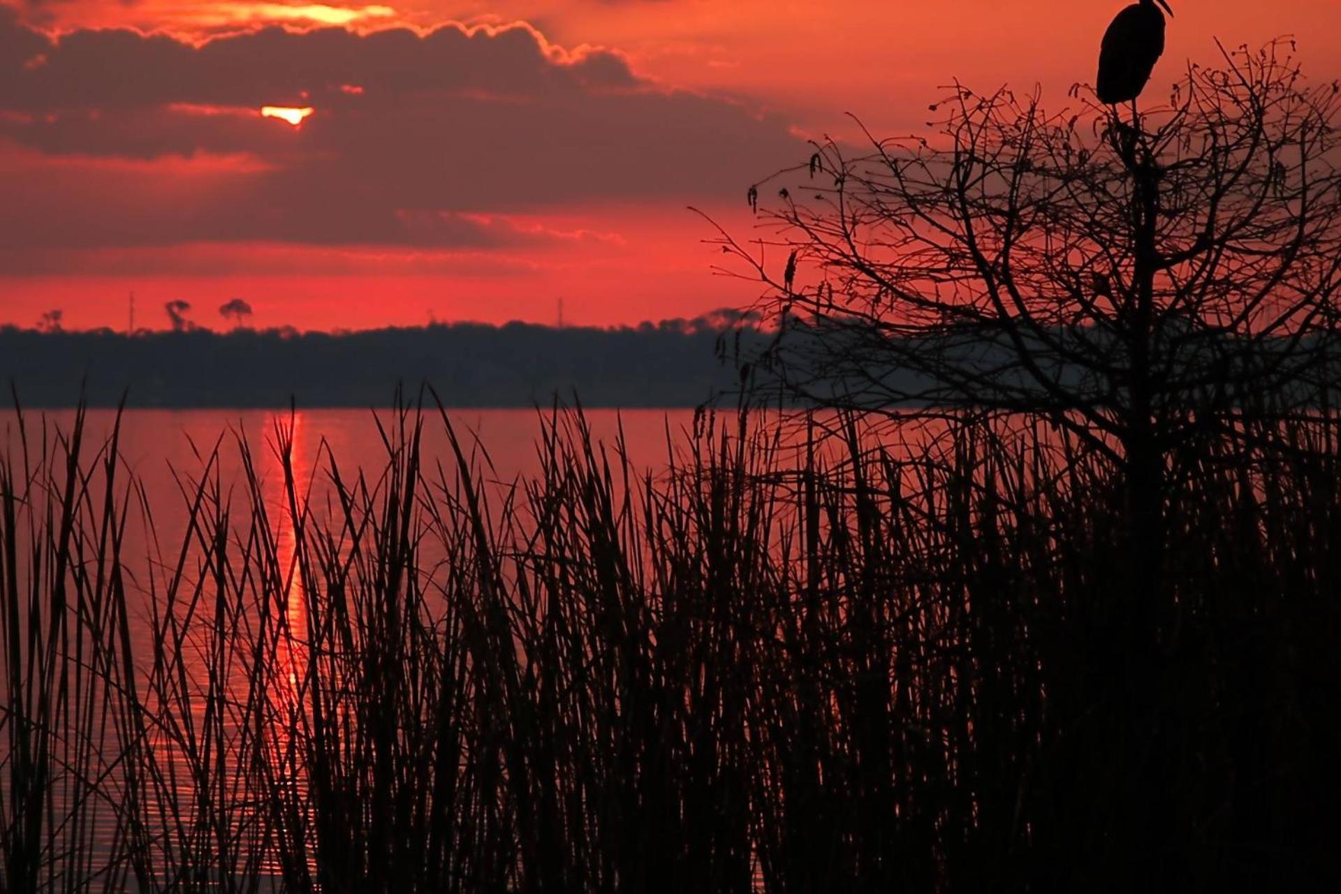 Serene Hideaway Wesley Chapel Zewnętrze zdjęcie